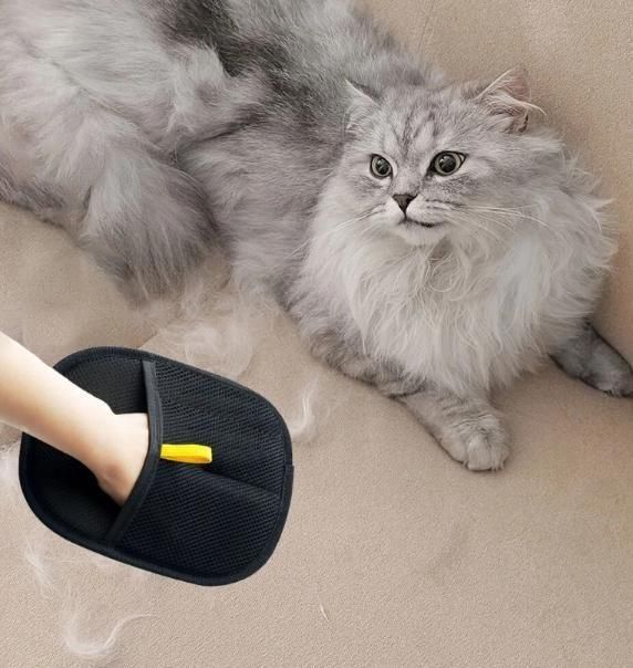 “🔥 The Glove Every Pet Owner Needs!”